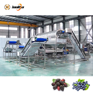 Ligne de défeuillage et de lavage des baies industrielles, élimine les tiges/les feuilles, ligne de défeuillage automatique des baies - Product Image 4
