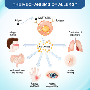 Crema Sumifun alle Erbe Antibatterica e Antinfiammatoria con Vitamina E per Alleviare il Dolore, 20ml per Uso Corporeo, Novità 2025 - Product Image 3