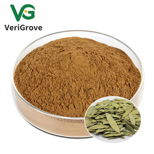 Yüksek kalite ücretsiz örnek bitkisel sinameki yaprağı özü tozu 6%-8% Sennoside A + B Cassia Angustifolia özü - Product Image 2