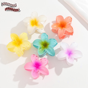 Nantong Flower Hair <b>Clips</b> Gradient Color Plastic Resin Casual Updo Accessories - Product Image 1