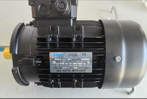มอเตอร์ ABLE รุ่น MSHE100L1-4 2.2 กิโลวัตต์ ประเภท MS90S-4 1.1 กิโลวัตต์ ผลิตภัณฑ์ - Product Image 4
