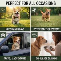 Poudre d'hydratation essentielle OEM pour chiens, enrichie en électrolytes et nutriments, améliorant la qualité de l'eau, complément alimentaire actif pour chiens seniors, soutien immunitaire et santé