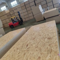 Panneau OSB en bois à fibres orientées, alternative imperméable au panneau de particules, pour le marché mondial des matériaux de construction – Fournisseur direct usine