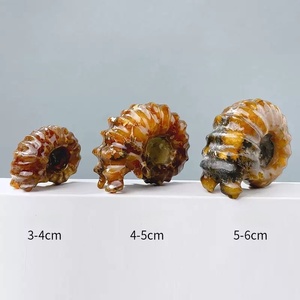 Vente en gros d'objets artisanaux naturels pour la guérison spirituelle : spécimens de cornes de mouton, spécimens d'escargots, fossiles d'ammonites <span class=keywords><strong>Pavlov</strong></span>, conques et conques blanches en cristal - Product Image 1