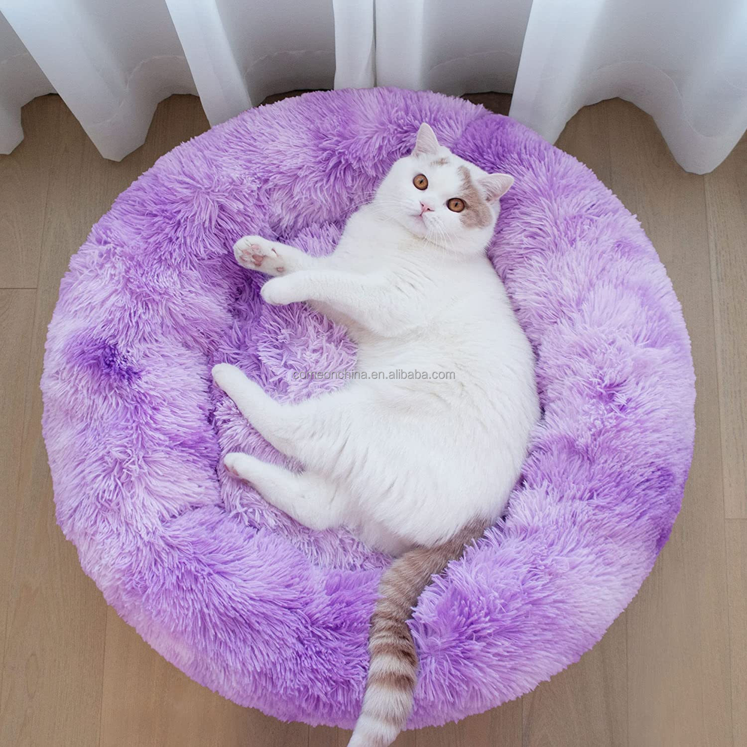 Dégradé violet