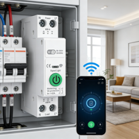 Disjoncteur intelligent WiFi Tuya CNXE, 1P+N 63A AC230V 6kA, rail DIN, usage industriel, plastique, certifié CE, directement de l'usine