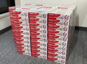 Boîte de boosters de collection Pokémon Écarlate et Violet SV2A Version Japonaise 1 Boîte Écologique 30 Paquets 150 Cartes - Product Image 3