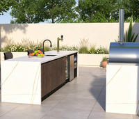 Ensemble de cuisines de jardin extérieures résistantes aux intempéries, ensemble de cuisson modulaire polyvalent, unité extérieure pour les espaces de jardin résidentiels