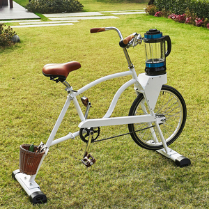 EXI Trẻ Em Trái Cây & Rau Máy Xay Sinh Tố Đạp Xe Đạp/Thương Mại <span class=keywords><strong>Juice</strong></span> Extractor Bike Thiết Bị - Product Image 1