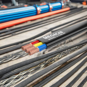 Cable Fotovoltaico Flexible con Aislamiento de PVC de 2.5mm 4mm 6mm 10mm, Núcleo de Cobre, para Uso Industrial de Bajo Voltaje 300V/600V - Product Image 5