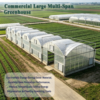 Serre Agricole Tunnel Multi-Portées avec Couverture en Plaques PC, Grande Taille, Structure en Acier Galvanisé à Chaud, à Vendre