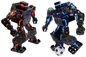 Robot Humanoide Bípedo con Visión Artificial para Educación, Venta al Por Mayor |   Kit de Programación de Robot Bailarín con Control por Aplicación, 18 Servomotores, Luces LED Multicolores - Product Image 2