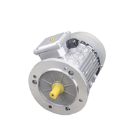 Moteur à induction monophasé à double condensateur standard chinois WOMA 220v haute efficacité 50/60hz 2800RPM 0.55KW 0.75HP