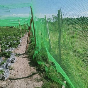 Tùy chỉnh cắt HDPE + UV ổn định chống chim lưới cho lúa gạo bảo vệ cuộn định dạng thu hoạch agrotextile thương hiệu tùy chỉnh kích thước - Product Image 3