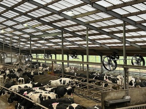 Ventilador Profesional de 38 Pulgadas para Granjas, Montado en la Pared, con Impulsor Curvo hacia Adelante y Rodamientos de Bolas, para Edificios Agrícolas y Gallineros - Product Image 3