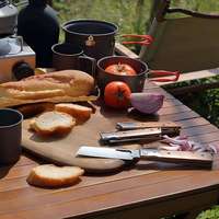 Groothandel RVS Opvouwbaar Zakmes Kamperen Keuken Fruit & Groente Opvouwbaar Keukenmes met Palisander Handvat