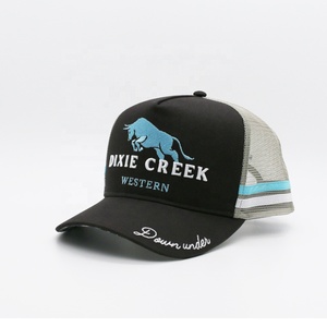 Venta al por mayor gorra deportiva unisex logotipo bordado personalizado raya lateral 5 paneles perfil alto gorra de camionero de campo en blanco para niños y adultos - Product Image 4