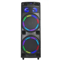 2022 NEU Dual 12 Zoll Big Power 100W Holz schrank Pro aktiv Party Karaoke Boombox Griff Lautsprecher Audio