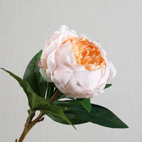 Bunga Peony Pink Berkualitas Tinggi dengan Sentuhan Alami