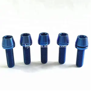 Hot Sale Gr5 Titanium Tapered Head Screws M5 For Bicycle