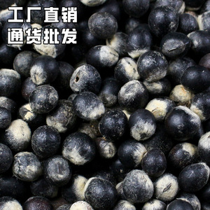 Bodhi Seed Beads Raw Undrilled Round 500g For Prayer Beads Crafting Hangzhou Origin Spring 2025 Polished Scattered Beads - Product Image 1