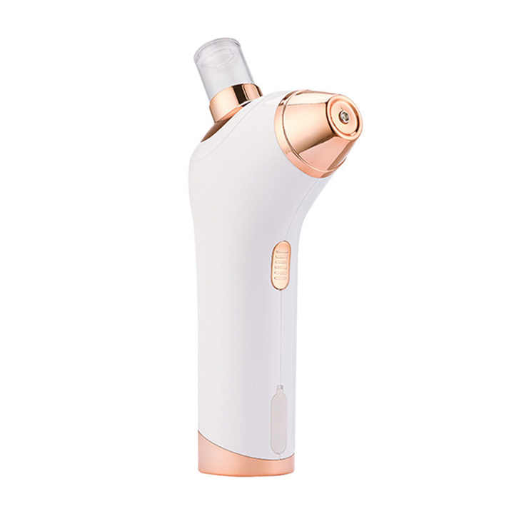 Microcurrent Home Hydration Instrument Face Sprayer Oxygen Injection ...