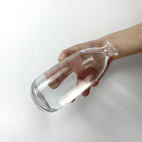 Bouteilles en verre givré transparentes haut de gamme vides de 100 ml, 250 ml, 375 ml, 500 ml pour alcool, vin de fruits, jus