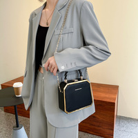 Nouveau sac à chaîne chic français imperméable, sac à main carré tendance et polyvalent, sac bandoulière, doublure en laine pour femmes