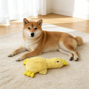 Jouets en corde de coton pour animaux de compagnie, résistants aux morsures, pour le nettoyage des dents, jouets à nœuds pour chiens - Product Image 1