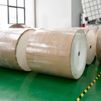 Papier de démoulage CCK en rouleau jumbo double face 120 g/m² résistant à l'humidité et à la chaleur pour la production de panneaux en fibre de carbone