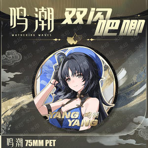 20 styles, 75 mm, Wuthering Waves, Yangyang <span class=keywords><strong>Encore</strong></span>, dessin animé japonais, Baji Ba Ji, anime, badge en alliage, broche, épingle - Product Image 2