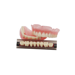 Consommables dentaires : Kits complets de prothèses dentaires en résine synthétique, <span class=keywords><strong>deux</strong></span> couches, 28 <span class=keywords><strong>dents</strong></span> - Product Image 3