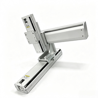 Modul Linear 3 Sumbu XYZ Berpenggerak Sekrup Bola dari Paduan Aluminium untuk Robot Kartesian pada Mesin Dispensing Otomatis