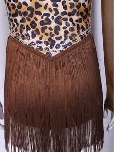 Women Leopard Print Latin <b>Dance</b> <b>Dress</b> Tassel Halloween Costume Fringe Mesh Long Sleeve Salsa Ballroom Custom - Product Image 5