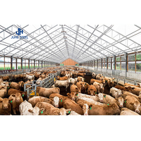 Hangar à structure en acier pour poulailler de volailles, hangar préfabriqué pour le bétail, poulailler en acier pour vaches et cochons