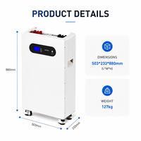 Système de stockage d'énergie domestique 16 kWh, batterie LiFePO4 51,2 V 314 Ah avec BMS intelligent et moniteur WiFi tout-en-un pour système solaire résidentiel