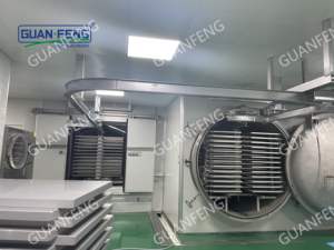 Hoge Kwaliteit Commerciële Pomp Uitgerust Vriesdroger Met Een Kamer Concurrerende Prijs In China - Product Image 2