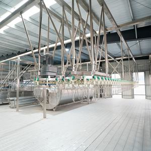 Attrezzatura per la macellazione di tacchini su larga scala in Algeria, 1000-5000 BPH, certificata Halal, preferita per progetti governativi - Product Image 2