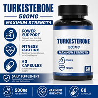 Service de Marque Blanche : Capsules de Turkesterone Pure 500mg pour la Puissance et la Croissance Musculaire des Hommes Adultes, Certifiées GMP, Végétaliennes, Faible Teneur en Matières Grasses