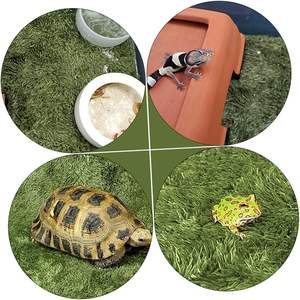 Achetez 2 obtenez-en 1 gratuit Tapis de mousse Plancher réaliste de forêt tropicale pour grenouilles d'arbres Geckos et serpents Vente en gros disponible - Product Image 5