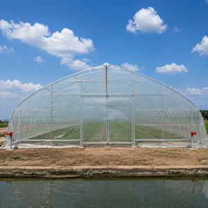 Serre agricole économique à portée unique pour <span class=keywords><strong>tomates</strong></span> et fraises, tunnel de serre en film plastique PE/PO dédié - Product Image 1