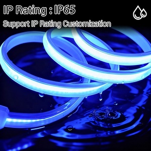 Phổ biến nhất Epistar LED Strip ánh sáng ngoài trời không thấm nước tùy biến COB dải ánh sáng ngoài trời chiếu sáng cảnh quan nhà máy - Product Image 6