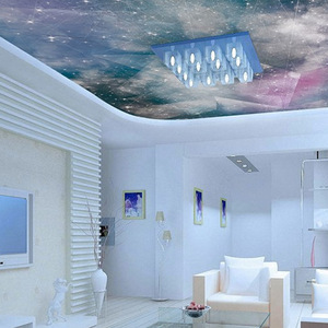 Phong Cách Châu Âu Không Thấm Nước Trang Trí Nội Thất Trần Cho Giấy Dán Tường 3D Hình Nền Mural Kích Thước Tùy Chỉnh - Product Image 6