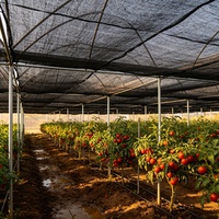 Zwaarbelastbaar opvouwbaar draagbaar duurzaam anti-verouderings ademend HDPE UV-gestabiliseerd geweven rechthoekig landbouw/tuin zonnescherm