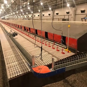 Tự động chuỗi gia cầm hệ thống cho ăn gia cầm trung chuyển chuỗi tự động chăn nuôi gà tầng nâng cao hệ thống - Product Image 1