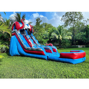 Toboggans aquatiques gonflables commerciaux pour l'extérieur, toboggans aquatiques en forme de pieuvre <span class=keywords><strong>avec</strong></span> <span class=keywords><strong>piscine</strong></span> pour les fêtes - Product Image 2