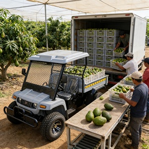 Véhicule utilitaire <span class=keywords><strong>électrique</strong></span> 10KW 4x4 tout-terrain résistant à l'eau salée, buggy de livraison pour les stations balnéaires - Product Image 4