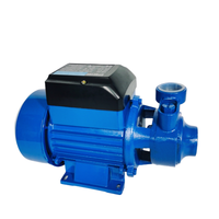 Pompa Air Listrik Self-Priming Permukaan Rumah Tangga Kecil Qb60 0.5hp Qb70 0.75hp Qb80 1hp