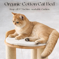 Meilleures ventes Nouveauté 2026 Arbre à chat et griffoir de style moderne minimaliste adapté aux chats de grande taille