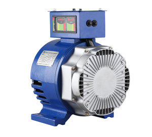 Générateur d'énergie libre à <span class=keywords><strong>aimants</strong></span> <span class=keywords><strong>permanents</strong></span> avec onduleur intégré, personnalisable - Product Image 5